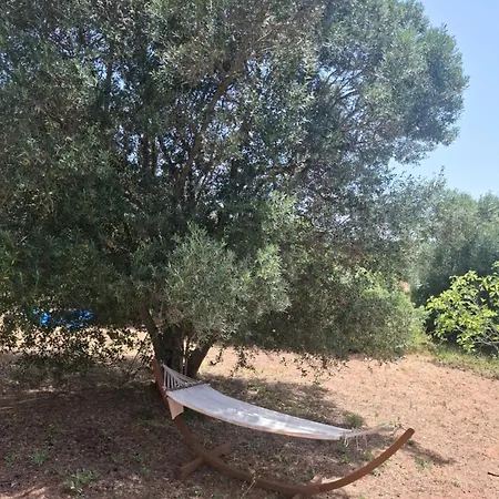 Poco Novo Algarve Glampingzelt Family * Loulé